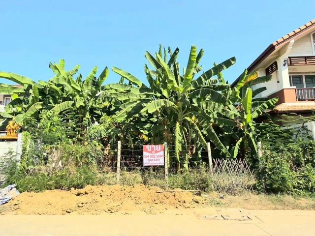 ���Թ ��ѡ���