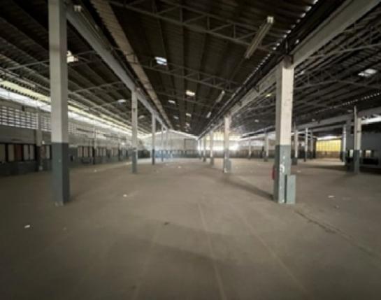 ⡴ѧ������ �ҧ�ҡ�ا෾