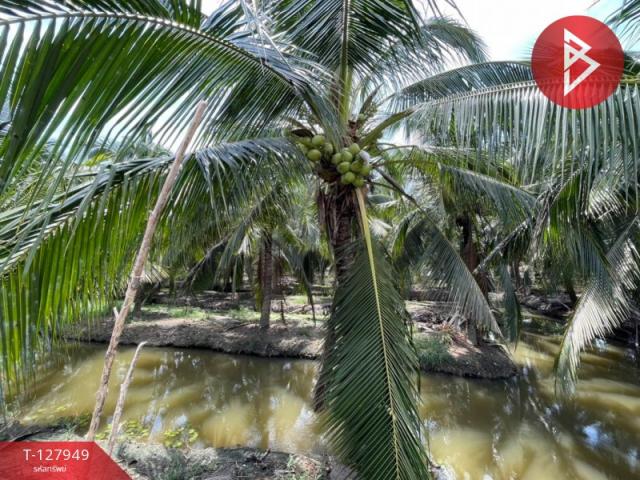 ���Թ ���ǹ �ŧ�˭�