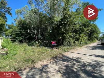 �͹�� �� The Best Property Agent