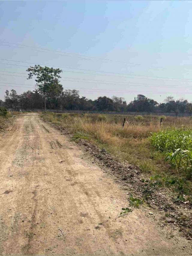 ���Թ �ӹ�