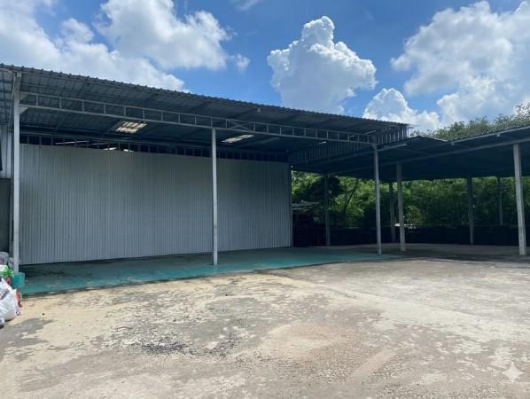 ⡴ѧ �Ԥ� �ź���