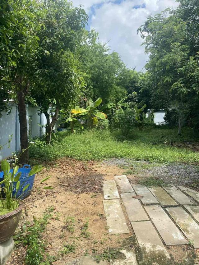 ���Թ ���ͧ �͹��