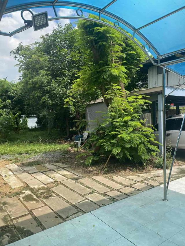 ��·��Թ ���ͧ�͹�蹢͹��