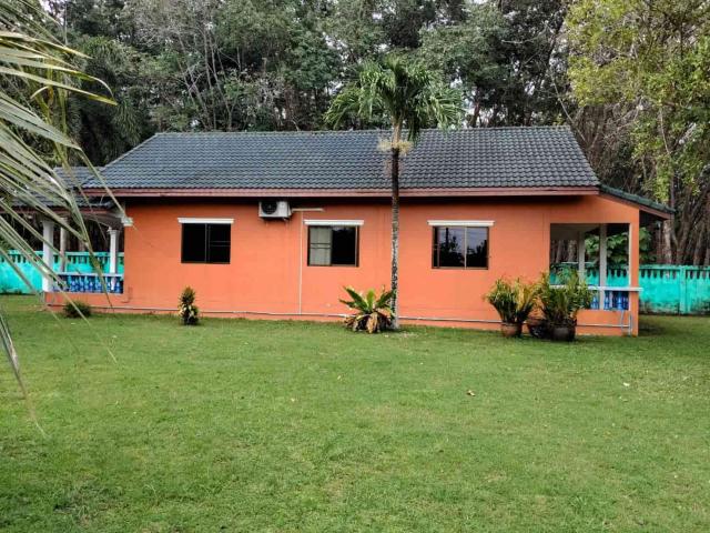 ���Թ���觪���� ����