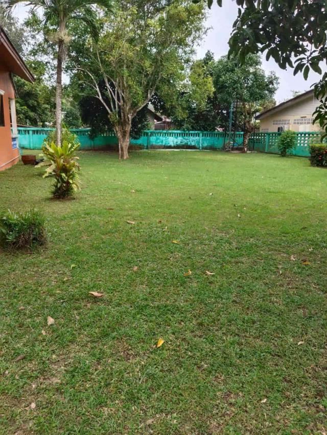 ���Թ���ͧ���� ����