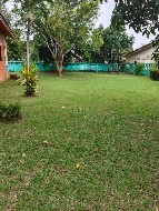 ��� ���Թ ���ͧ