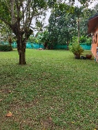 ��·��Թ ���ͧ���� ����