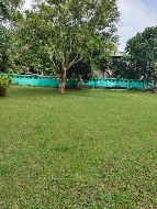 ���Թ ���ͧ