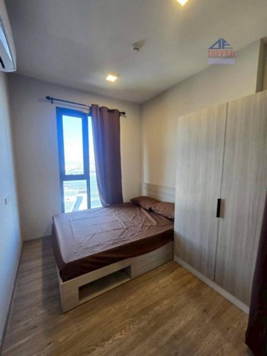 �͹������� �ҧ�˭蹹�����