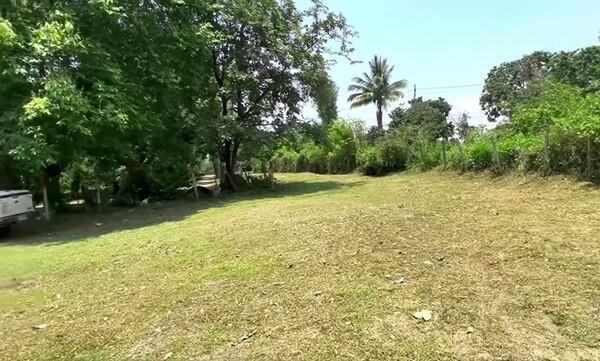 ���Թ ���Ũ���ͧ