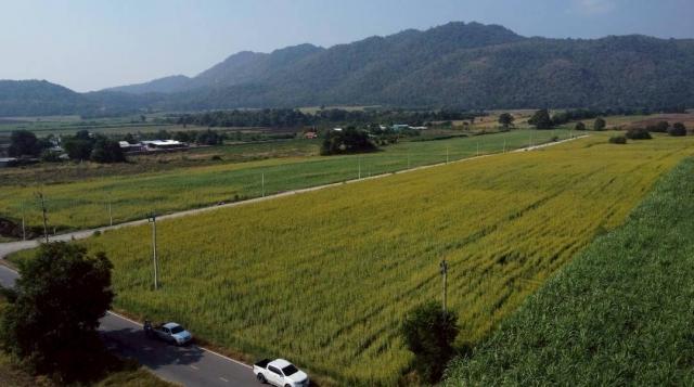 ���Թ�Դ����403 ���ҧ��