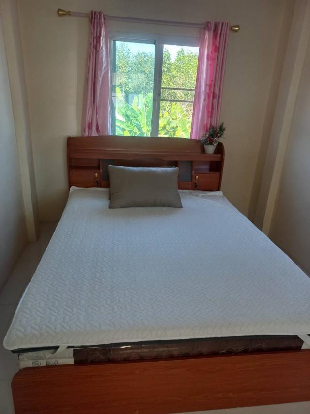 ��ҹ������ �ҧ�������ؾ�ó����