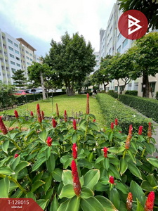 �ź��� �� The Best Property Agent