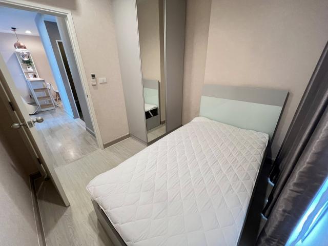 �͹���ͧ��� ���¢�ҧ