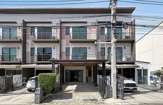 ��ǹ���� ������