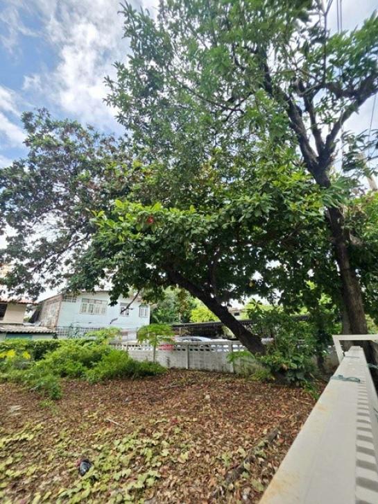 ���Թ������ �ҷá�ا෾