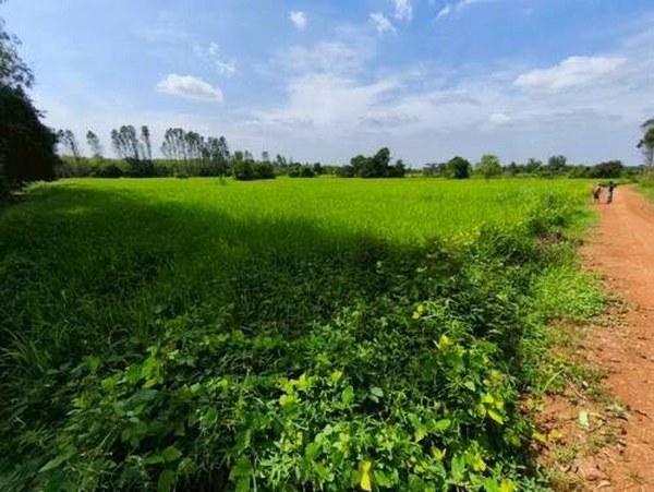 ���Թ �ӹ�