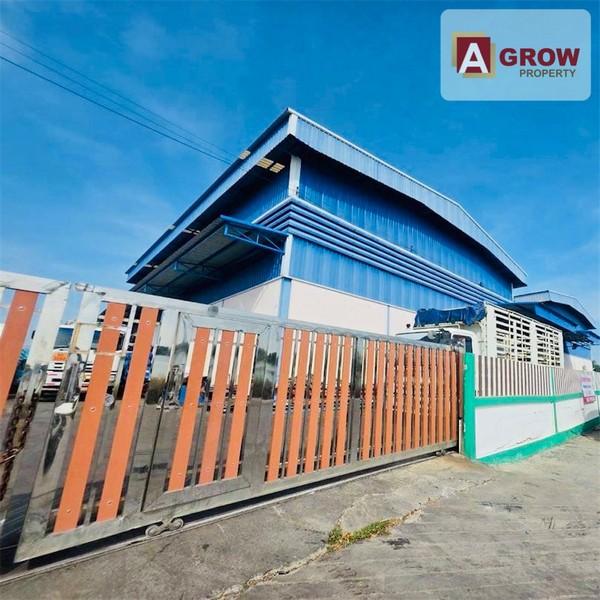 ����ç�ҹ �ҧ���