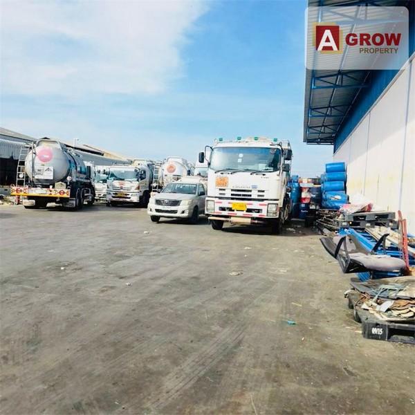 ����ç�ҹ �ҧ�����طû�ҡ��