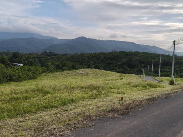 ���Թ �ҡ��ͧ ����Ҫ����