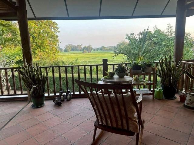 ��º�ҹ ������ ��§����