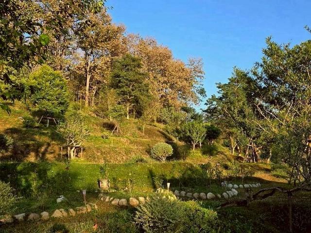 ��º�ҹ ��������§����