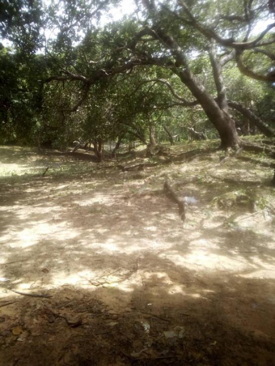 ��·��Թ �����Ǿѧ��