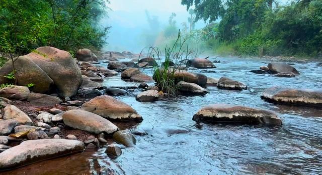 ���Թ ��ҹ