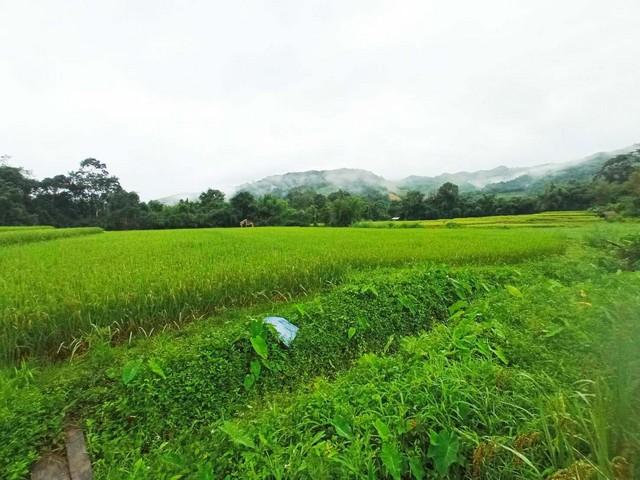 ��·��Թ ������͹�ҹ