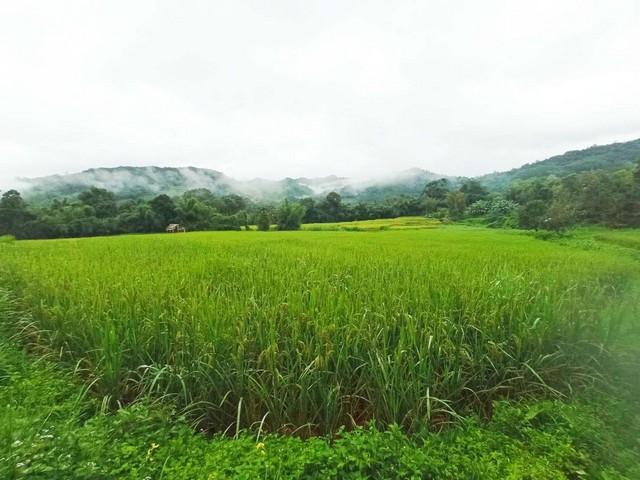 ��·��Թ ������͹�ҹ