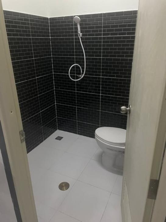 ⡴ѧ������ ������