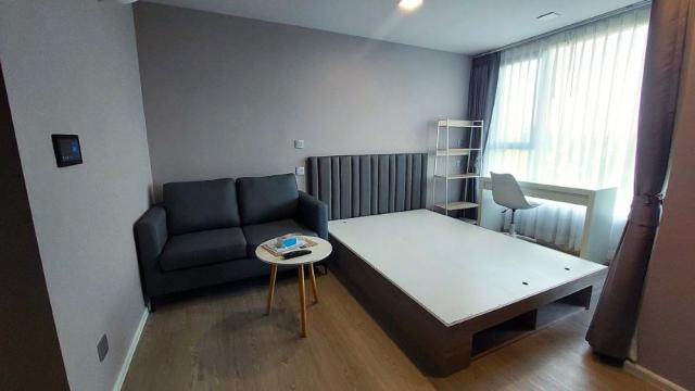 �͹� �Ҥҵ���ͧ��