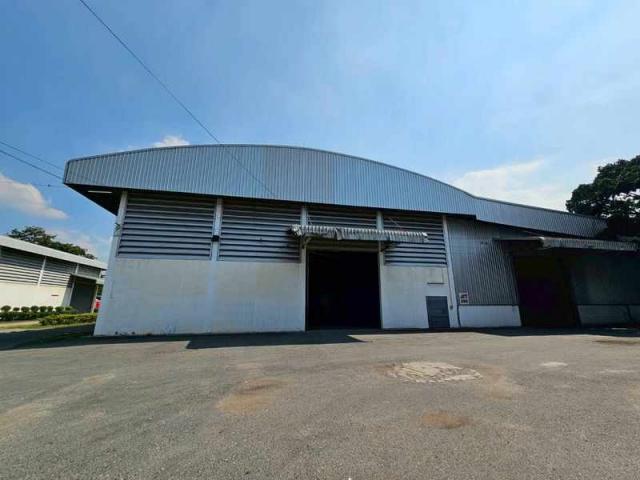 ����Ҫ� �� Pattaya dot Property