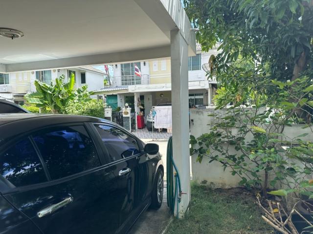 ��º�ҹ �ҧ�˭� �������