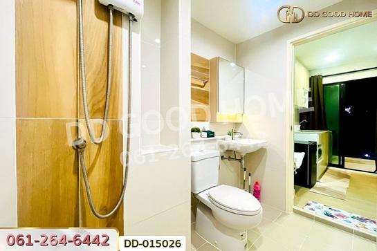 �͹������� �ҧ���¹������