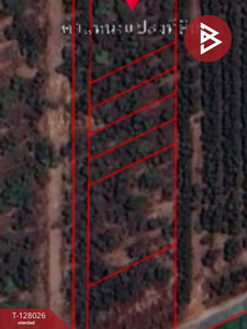 �����ҹ� �� The Best Property Agent