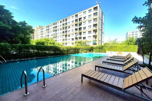 ��¤͹� ������§