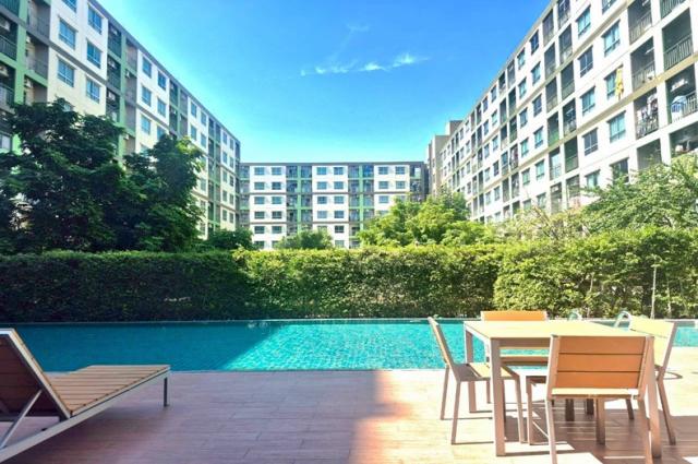 ��¤͹� ���ͧ������չ������