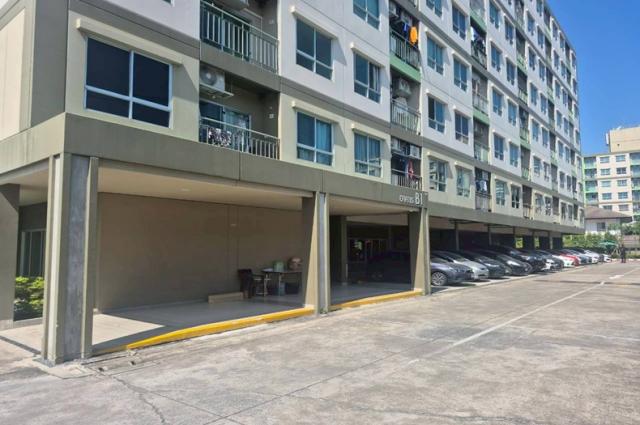 ��¤͹� ���ͧ������չ������