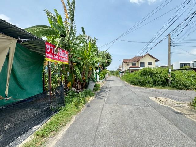 ��·��Թ ������ԭ��ا෾