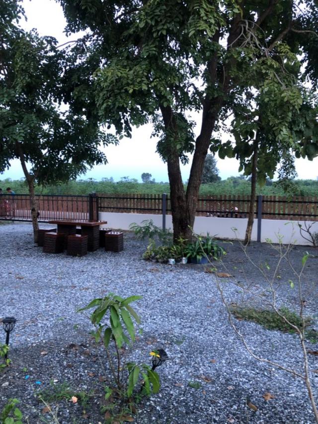 ��º�ҹ ˹ͧ˭����ؾ�ó����