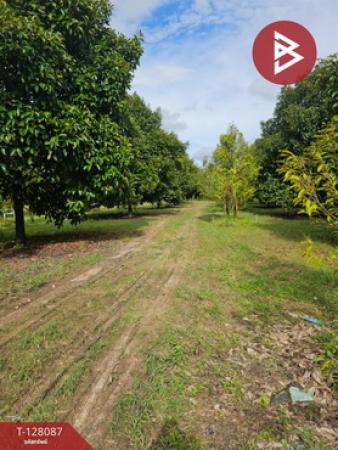 ��·��Թ ���ͧ�ѹ����ըѹ�����