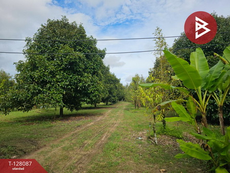 ��·��Թ ���ͧ�ѹ����ըѹ�����