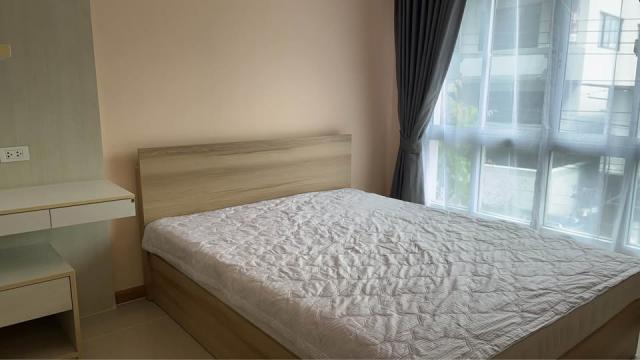 �͹������� ���ͧ������չ������