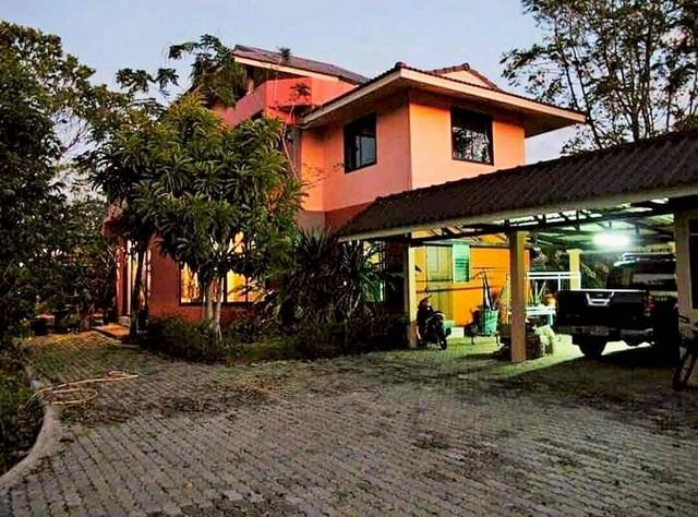 ��ҹ ����������