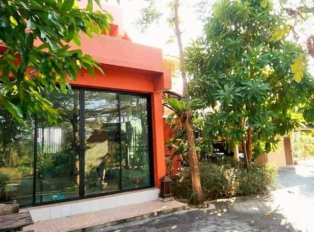 ��º�ҹ ���������§����