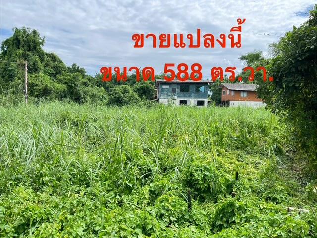 ���Թ���ͧ�����ҹ� �����ҹ�