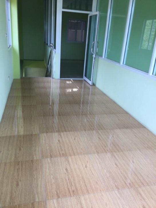 ⡴ѧ������ ��з���ẹ��ط��Ҥ�