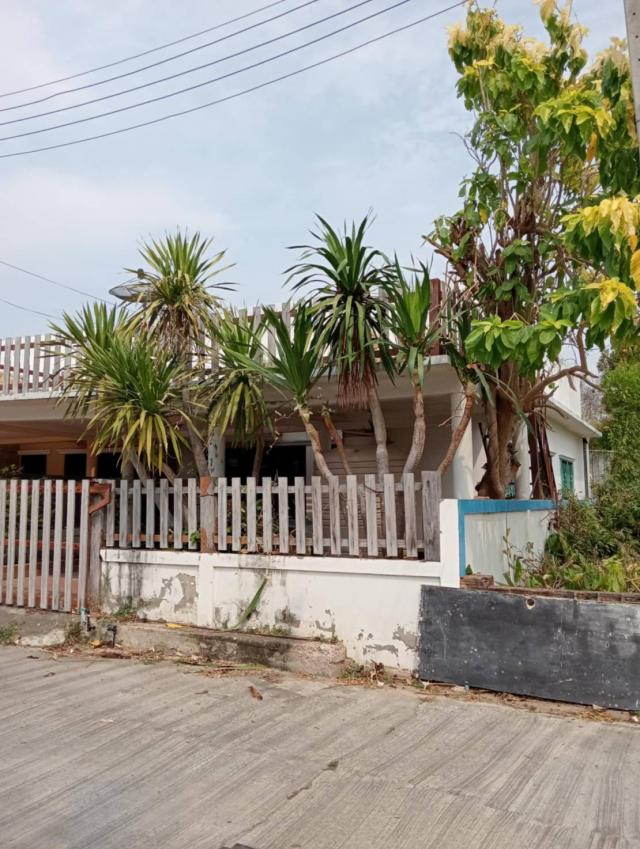 ��º�ҹ ����Թ��ШǺ���բѹ��